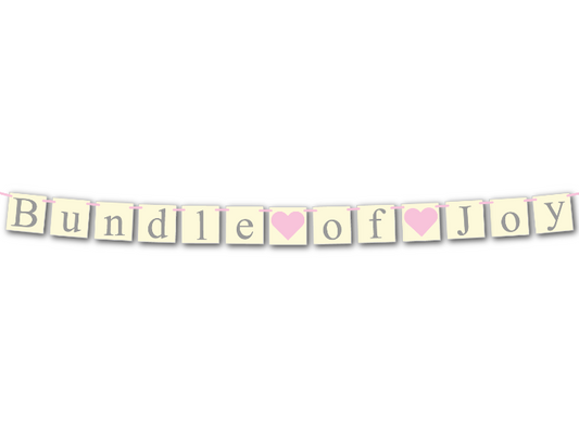diy chic vintage inspired girls baby shower banner - diy bundle of joy banner - Celebrating Together