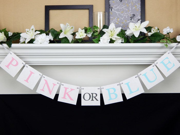 pink or blue banner - gender reveal decor - Celebrating Together