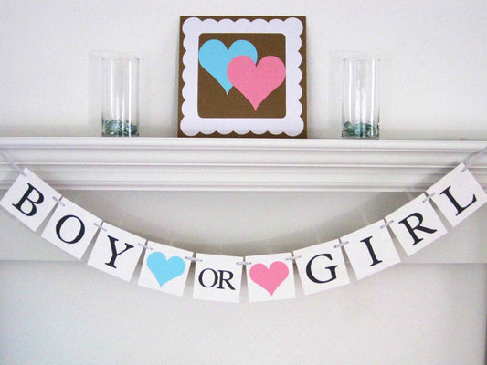 Boy or Girl Banner - Blue/Pink Hearts