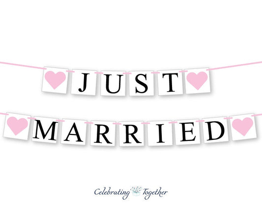 Just Married Banner - Hearts
