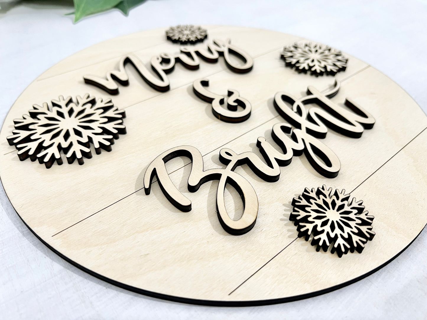 Merry & Bright Sign Paint Kit - Snowflakes