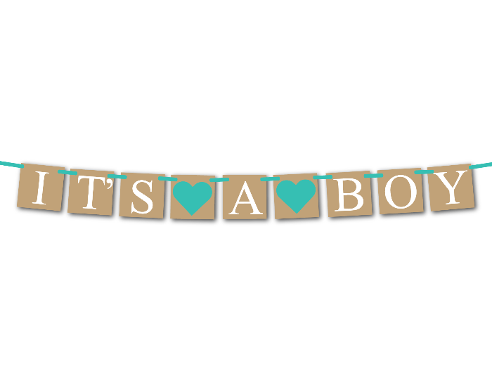 Printable Rustic It's A Boy Banner