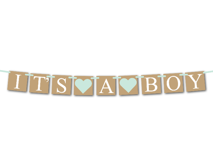 Printable Rustic It's A Boy Banner