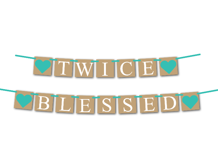 rustic gender neutral twice blessed banner - Celebrating Together