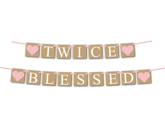 girls twins baby shower banner - Celebrating Together