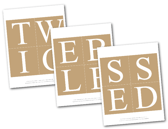 printable twice blessed banner - Celebrating Together