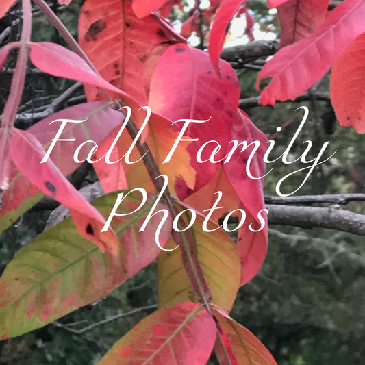 Fall Themed Family Photos