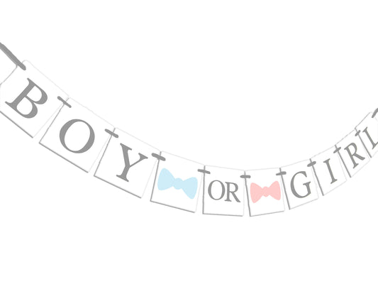 boy or girl banner - bow tie or bows baby shower decorations