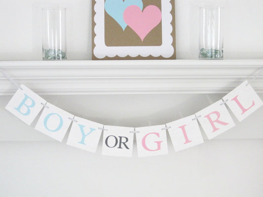 boy or girl banner - baby shower decorations